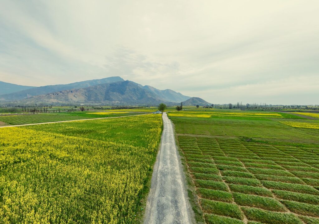 Expansive green fields stretch to the mountains under a bright sky, capturing rural tranquility.