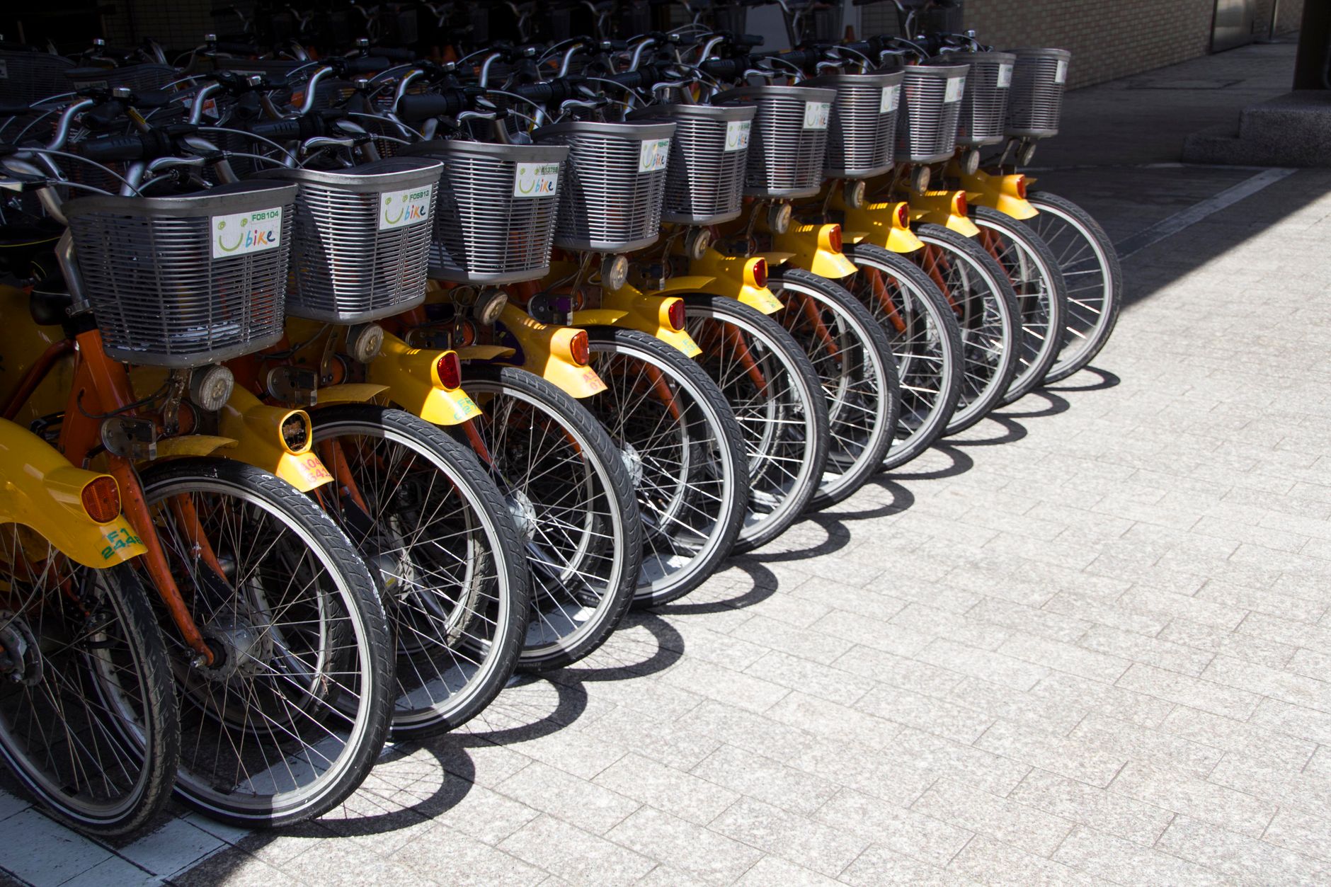 A neat row of bright yellow shared bicycles parked in an urban area, ready for public use.