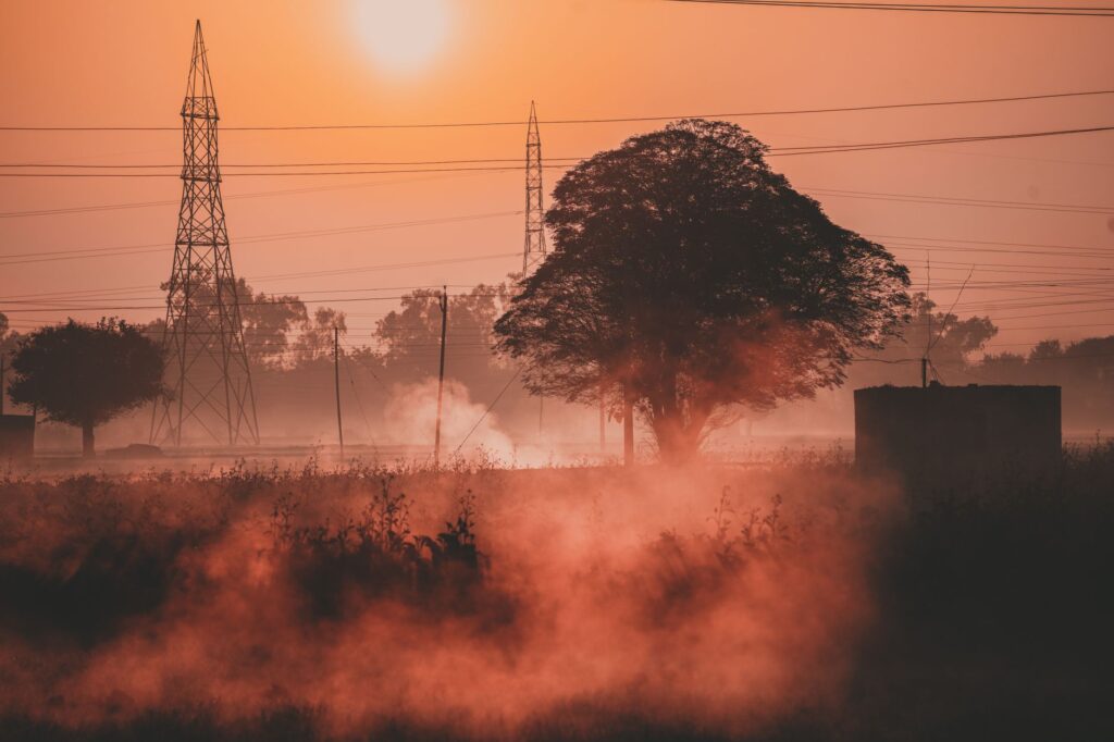 A serene landscape of misty fields and electricity pylons at sunrise in Ludhiana, India.