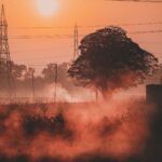 A serene landscape of misty fields and electricity pylons at sunrise in Ludhiana, India.