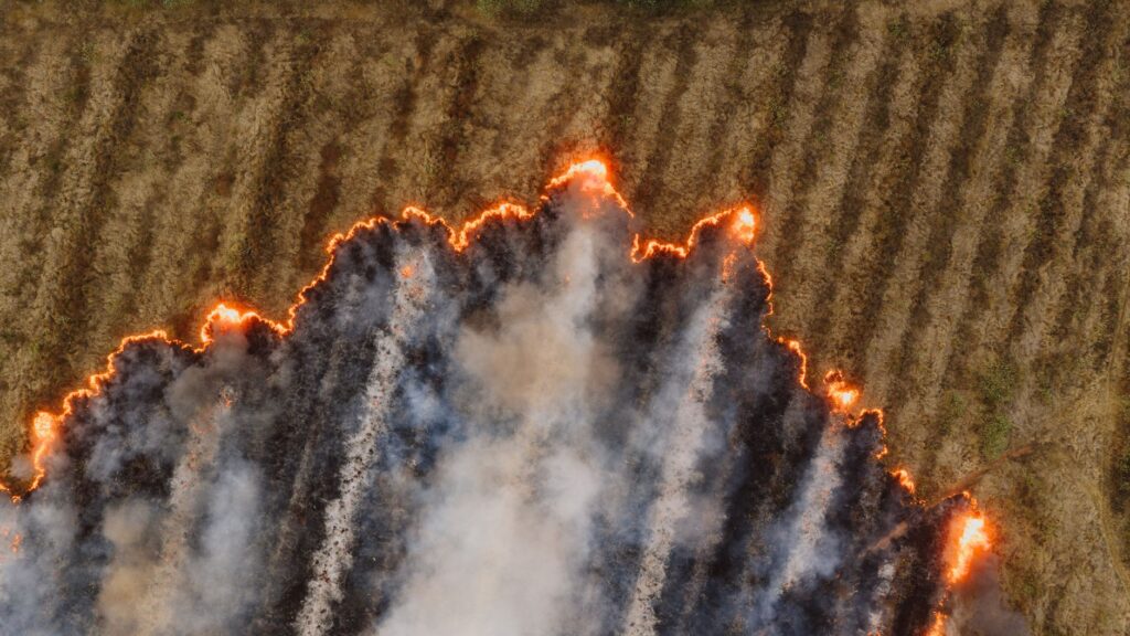 A dramatic aerial view showcasing a fire spreading across a dry agricultural field in Mpumalanga, South Africa.