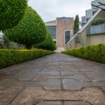 A symmetrical pathway flanked by neatly trimmed hedges leading to a modern building facade.