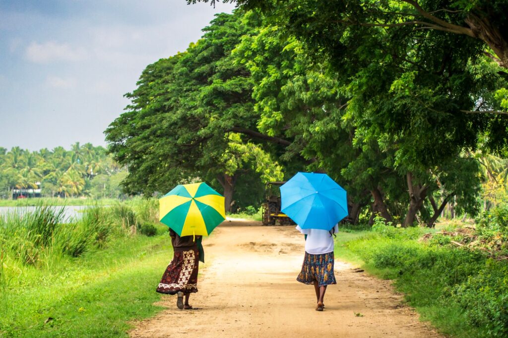 Two women walk with colorful umbrellas along a scenic path lined with lush trees in Colombo, Sri Lanka.