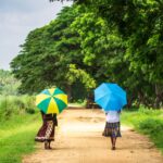 Two women walk with colorful umbrellas along a scenic path lined with lush trees in Colombo, Sri Lanka.