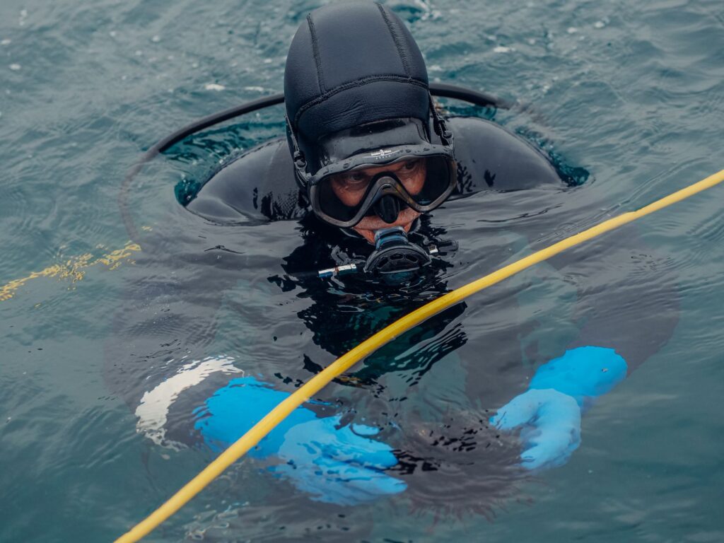 A professional diver in wetsuit and scuba gear holding a sea urchin in the ocean.