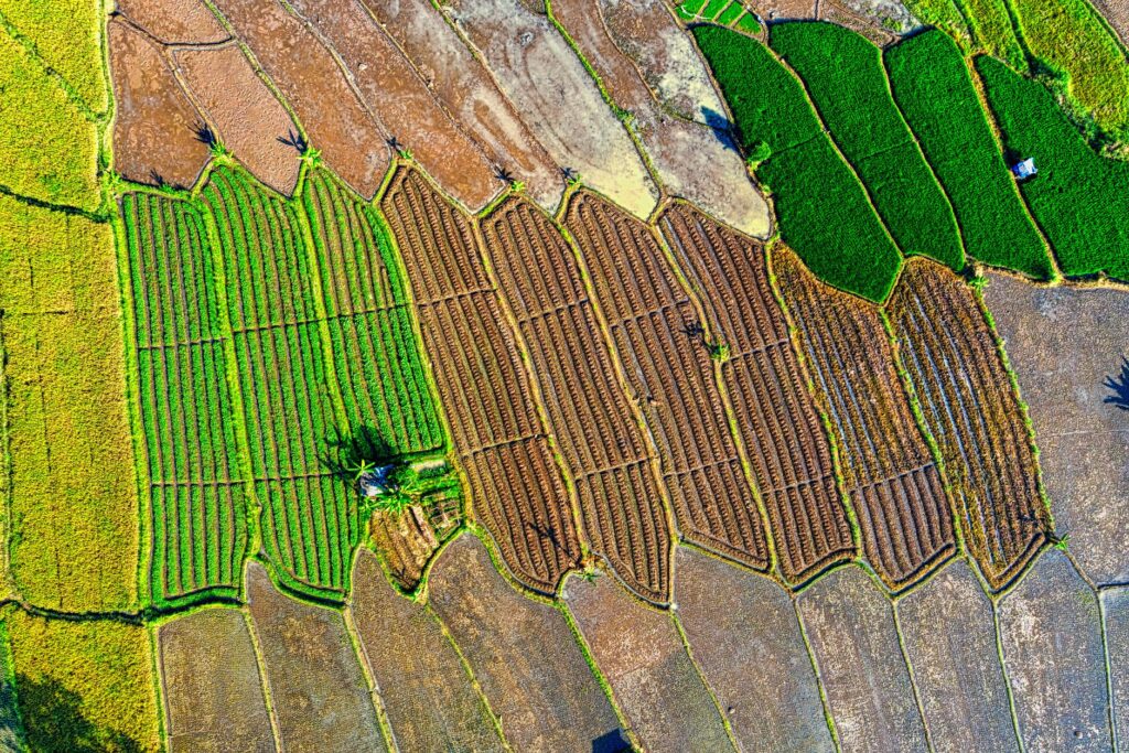 Drone capture of colorful rice fields in Banten, Indonesia showcasing agricultural patterns.