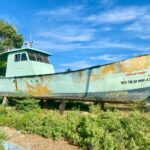 A weathered, old fishing boat resting on land surrounded by greenery, under a bright blue sky.