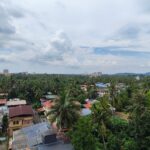 Aerial view of palm trees and rooftops in Thrissur, India, under a cloudy sky.