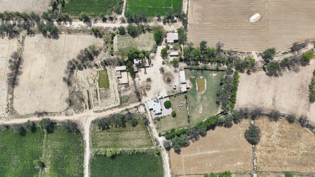 An aerial perspective of lush green and dry fields in Punjab, Pakistan.