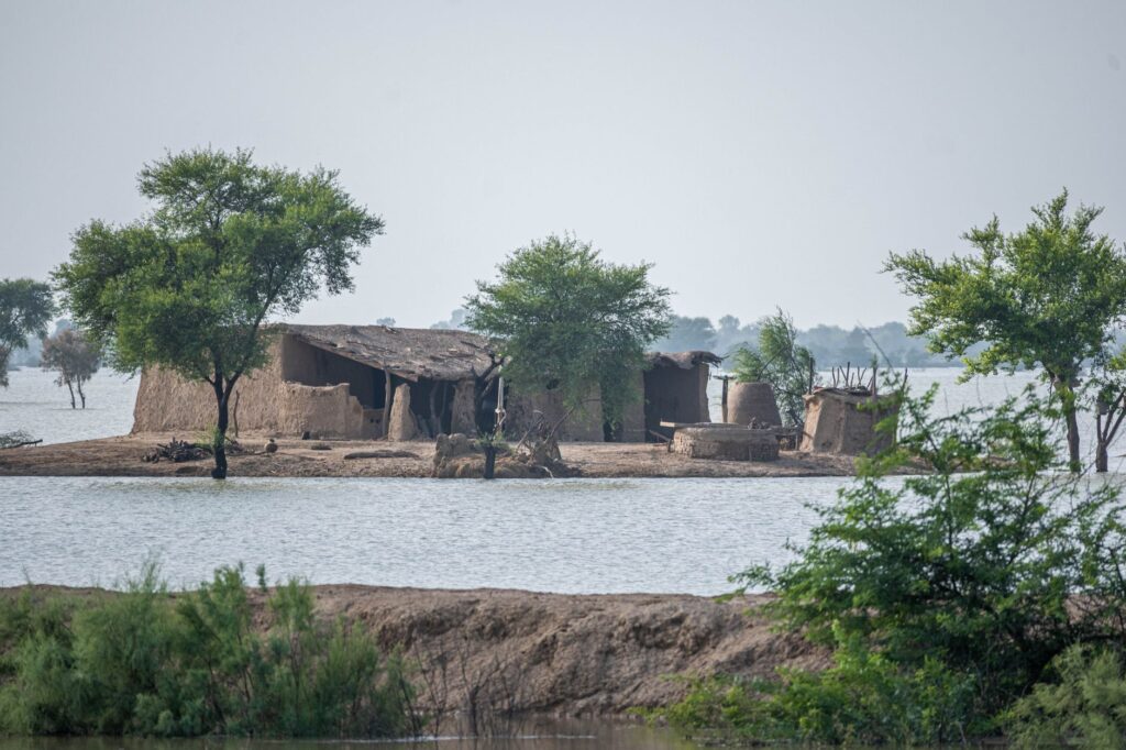 Abandoned mud houses surrounded by floodwaters, isolated amid trees.