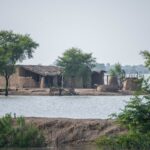 Abandoned mud houses surrounded by floodwaters, isolated amid trees.