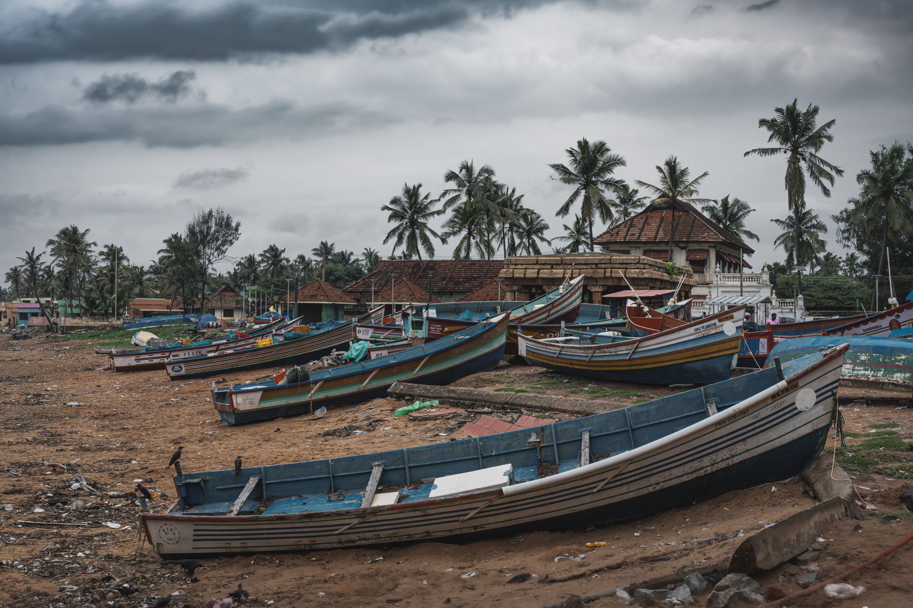 Charming view of a tropical coastal village with colorful fishing boats and lush palm trees.