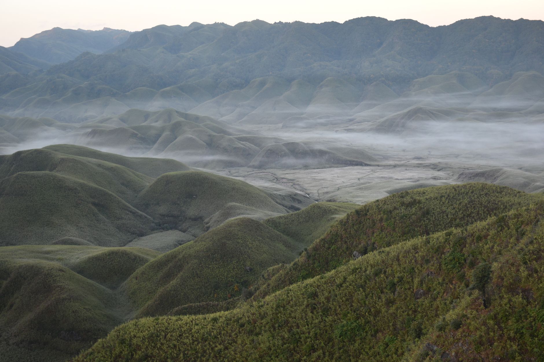 Breathtaking view of fog-laden rolling hills and valleys in Dzukou Valley, showcasing nature's tranquility.