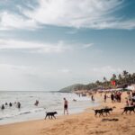 Bustling Baga Beach in Goa, India, with people enjoying a sunny day by the sea.